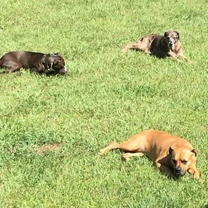 Meet your Posher, Susan